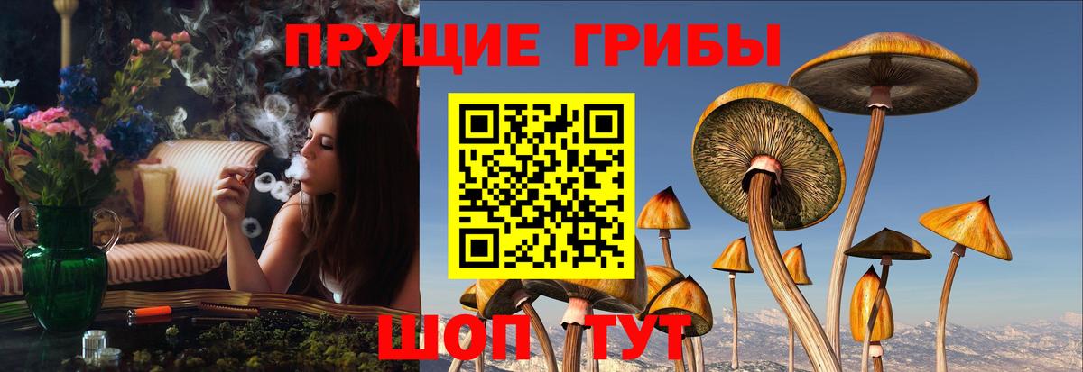 Владивосток  Галлюциногенные грибы прущие грибы  Вход с VPN 